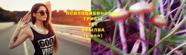 шишки Абинск