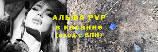 шишки Абинск